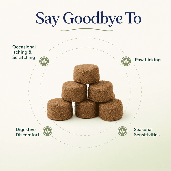 Pawbiotic® Allergy + Immune Support Chews